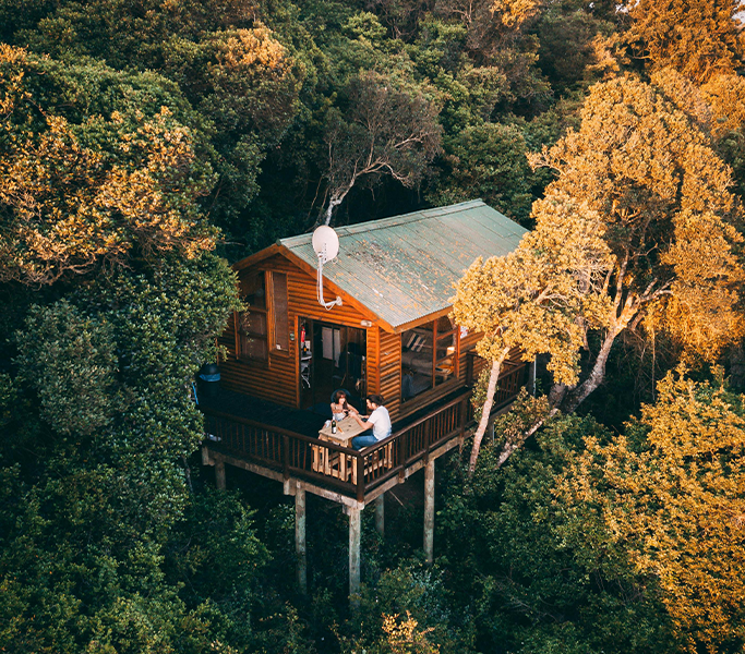 Image d'une cabane perchée dans les arbres, pour un séjour unique en pleine nature.