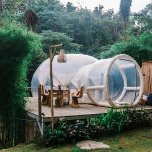 Image d'une bulle transparente en pleine forêt.