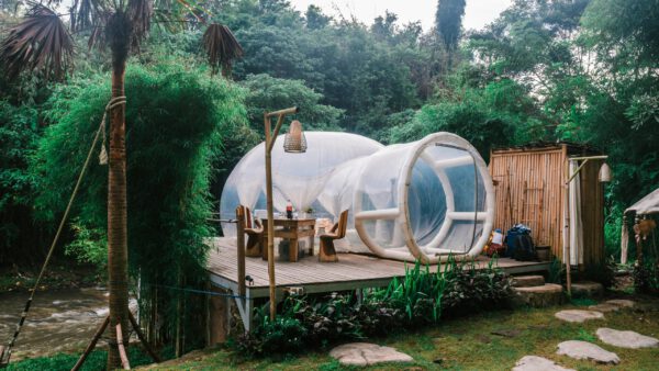 Image d'une bulle transparente en pleine forêt.