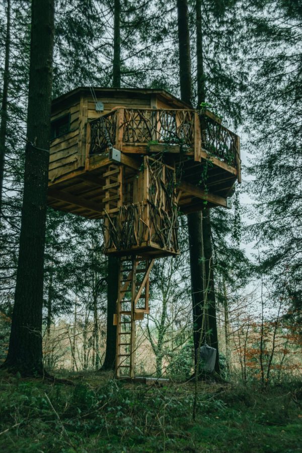 Image d'une cabane dans les bois dans la forêt.