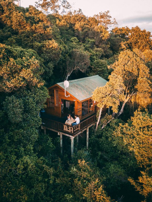 Image d'une cabane dans les arbres dans la forêt de Fontainebleau.